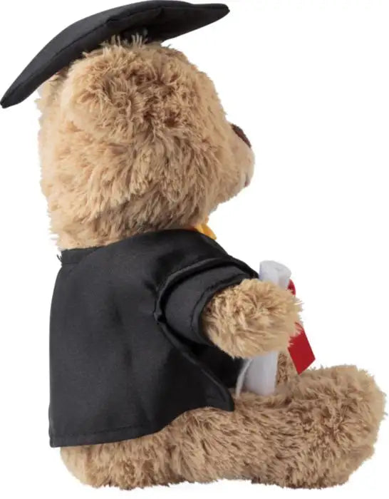 Graduation Teddy Bear