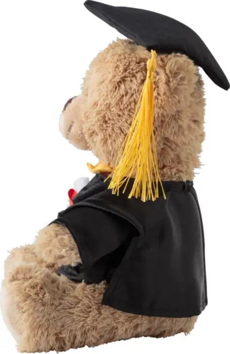 Graduation Teddy Bear